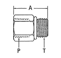 2216 Internal Pipe to SAE O-Ring Boss